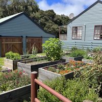   at The Perch at Lavers Hill in Lavers Hill