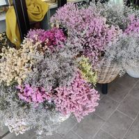 Refreshing! at Flowers Bake & Ice Cream in Tachikawa