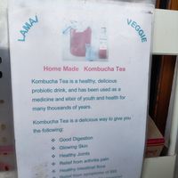 Kombucha at Lamai Veggie in Koh Samui