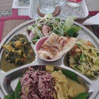Amazing, well balanced meal. Flavorful at Lamai Veggie in Koh Samui