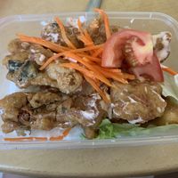 Crispy fish cutlet rice  at Jia Jia Vegetarian 佳佳素食 - Jurong West in West Singapore