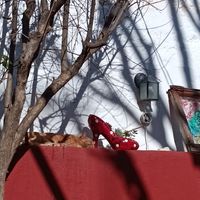  at El Higo in Granada