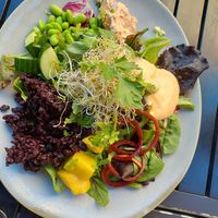 Toonish bowl at  Verte in Stockholm