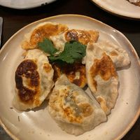 Sauerkraut and mushroom dumplings  at  Verte in Stockholm