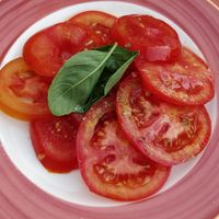 Tomato salad at Fauno Bar in Sorrento