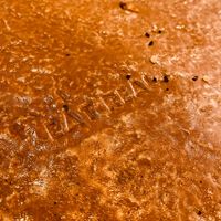 Eat Real at Honest Greens in Porto