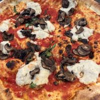 Vegan pizza with mushrooms added; wish they were heavier with the sauce and cheese!  at Pitfire Pizza in North Hollywood
