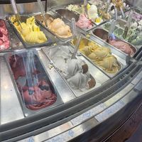 flavors (you can tell by the white signs which ones are vegan)   at Gelato Paradiso in Coronado