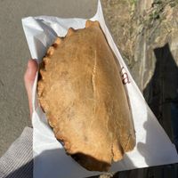   at Pengenna Pasties in Tintagel