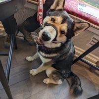  at The Chakra Lounge in Bakewell