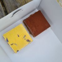 Lime mango & tiramisu bites at Multivlaai in Sliedrecht