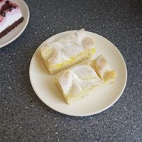   at MultiVlaai in Zoetermeer