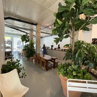 Indoor 1  at Intense Coffee in Luxembourg City