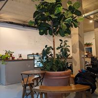 inside at Intense Coffee in Luxembourg City