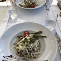 Mushroom risotto   at Pousadela Restaurant in Braga