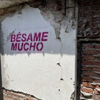   at MAWE Cocina Vegana in Mazatlan