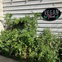 MAWE has their own garden that they harvest much of their produce from.  at MAWE Cocina Vegana in Mazatlan