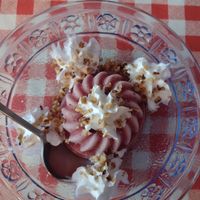  at Te lo do io il Vegano / La Stella Vegan in Lierna