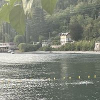 The view from the location at Te lo do io il Vegano / La Stella Vegan in Lierna