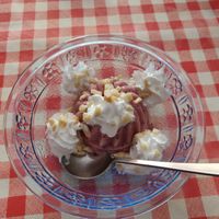  at Te lo do io il Vegano / La Stella Vegan in Lierna