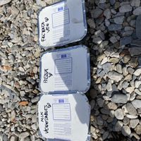 All vegan food by the beach!   at Te lo do io il Vegano / La Stella Vegan in Lierna