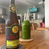   at Te Quiero Verde in Puerto Vallarta