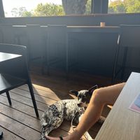 Dog friendly😄 at For Change in Middle Park