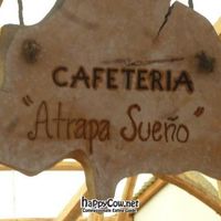  at Atrapasuenos - Comida Vegetariana Te Cafe in Campeche