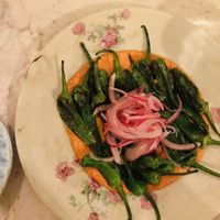 Pardon pepper  at Boca Bistro in Lisbon