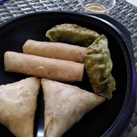 Samosa, nem and ravioli at SOKDI - Plats Asiatiques Végétariens in Narbonne