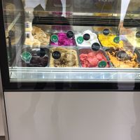 vegan marked ice creams at Gelato Jadran in Telc