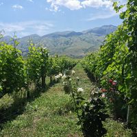  at The Barrels-Te Fuçitë in Gjirokaster