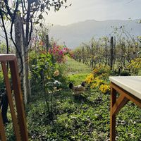  at The Barrels-Te Fuçitë in Gjirokaster