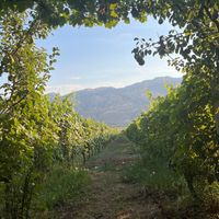  at The Barrels-Te Fuçitë in Gjirokaster
