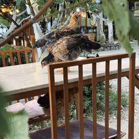   at The Barrels-Te Fuçitë in Gjirokaster