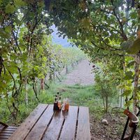  at The Barrels-Te Fuçitë in Gjirokaster