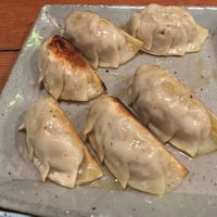 Vegan gyoza 🥟  at Mominoki House in Tokyo