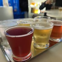   at Aquela Kombucha in Porto