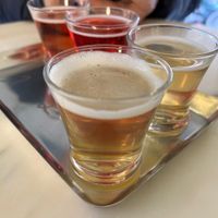 Tasting board. 5 flavours 5euro  at Aquela Kombucha in Porto