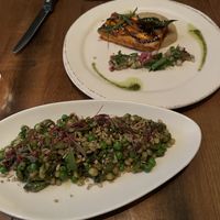   at Vedge in Philadelphia