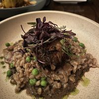   at Vedge in Philadelphia