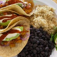   at Plant Craft Kitchen in St Louis