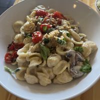   at Plant Craft Kitchen in St Louis