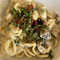 Mac n cheese  at Plant Craft Kitchen in St Louis