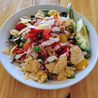 Yummy Jack Fruit Taco Salad at Plant Craft Kitchen in St Louis