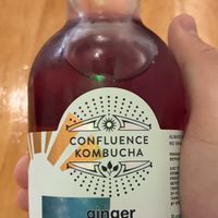 ginger lavender kombucha!  at Plant Craft Kitchen in St Louis