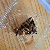  at Plant Craft Kitchen in St Louis