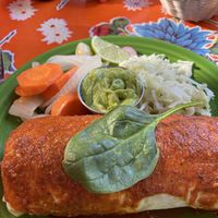 Vegan stuffed burrito   at Viva Taqueria and Cantina in Ithaca