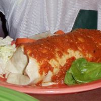 Vegan burrito.  at Viva Taqueria and Cantina in Ithaca