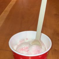 Peppermint vegan ice cream. at Purity Ice Cream in Ithaca